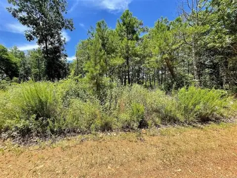 Secluded 82-Acre Residential Land