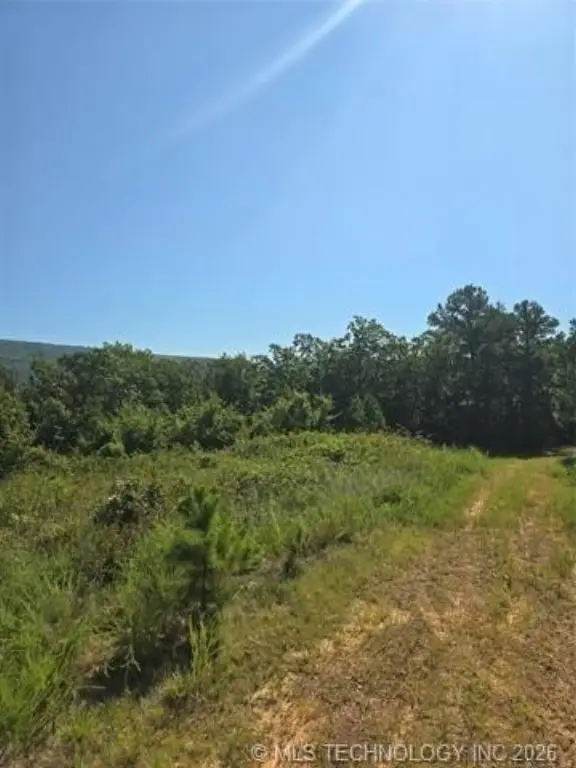 Picture 8