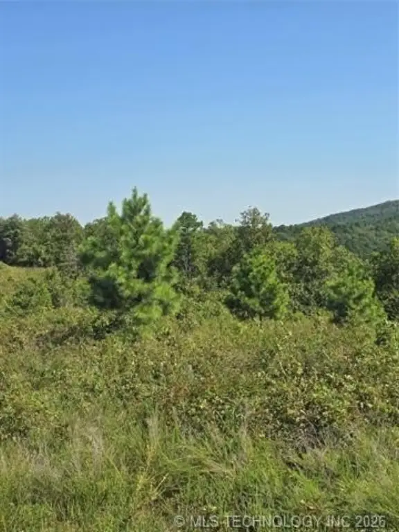 Picture 11