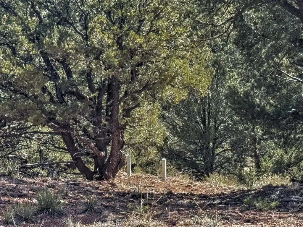 Picture 27