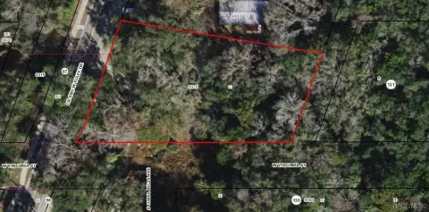Homosassa Land Development Opportunity