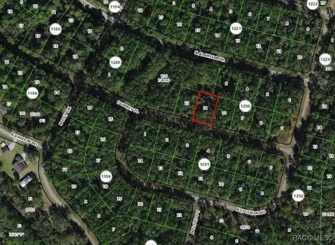 Citrus Springs Oversized Building Lot
