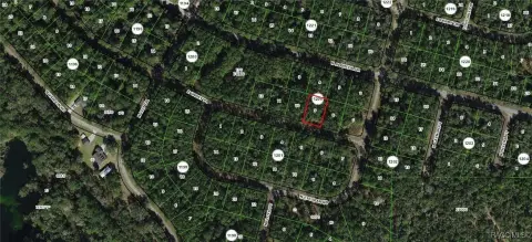 Citrus Springs Oversized Building Lot