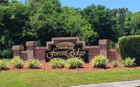 Residential Land in Tarpon Springs