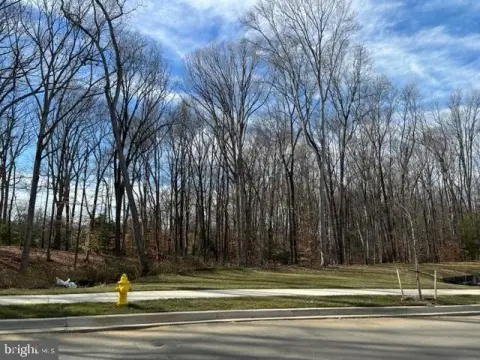 Wooded Lot in Bryans Road