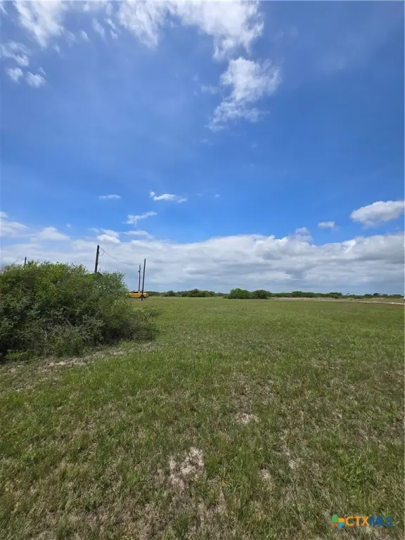 Picture 8