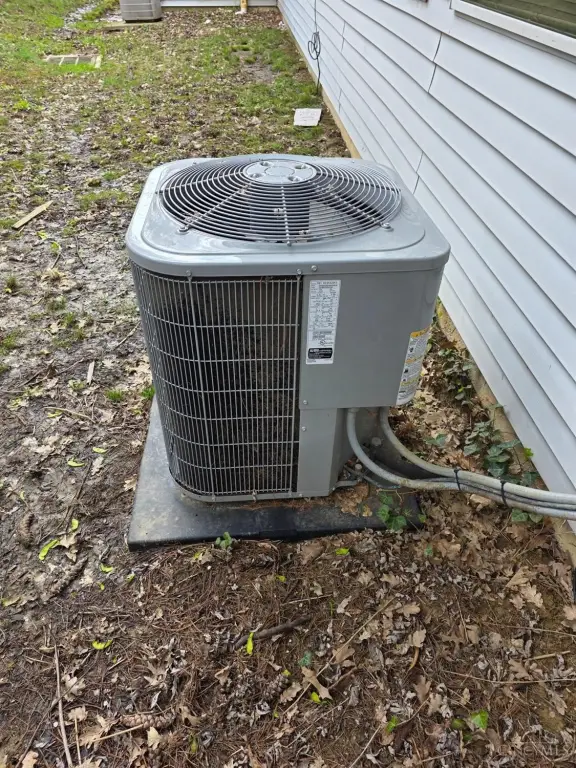 Picture 21