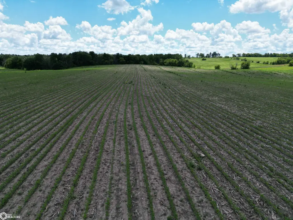 Picture 17