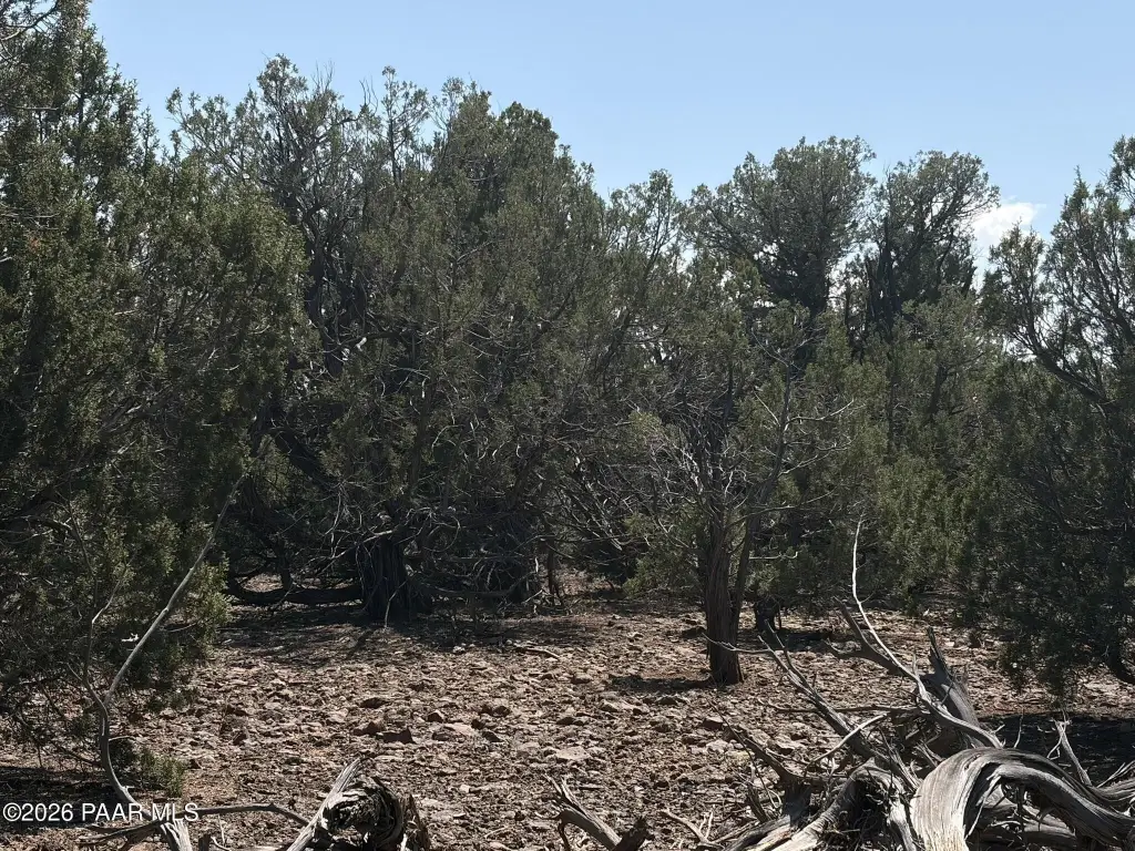 Picture 6