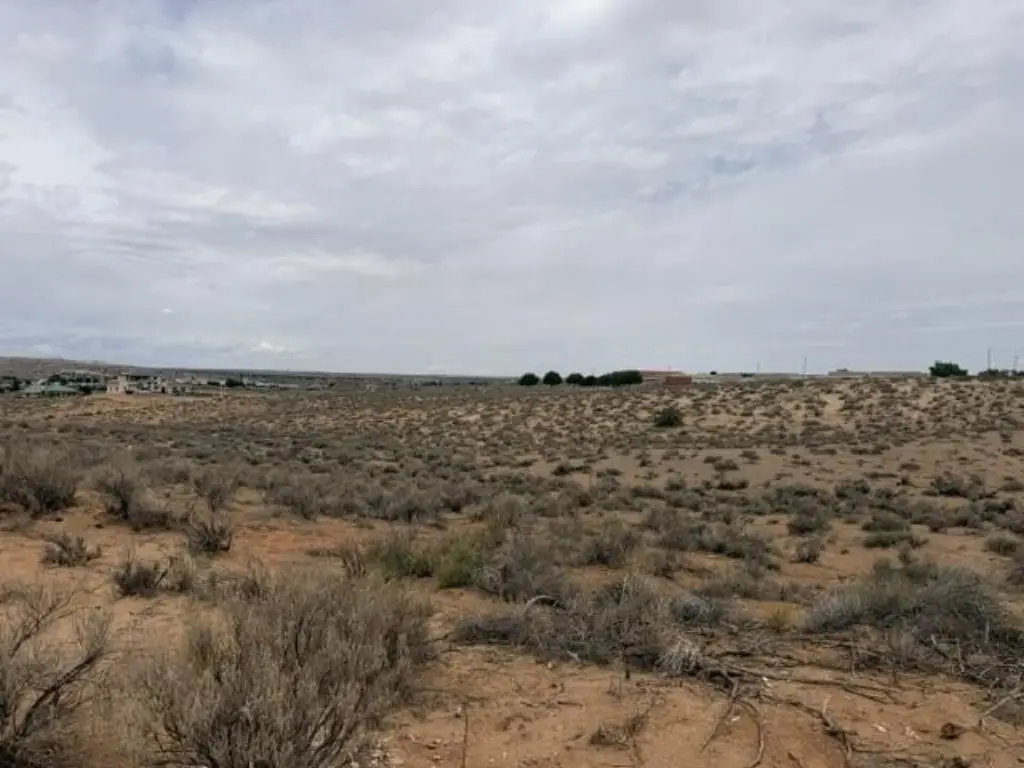 Picture 2