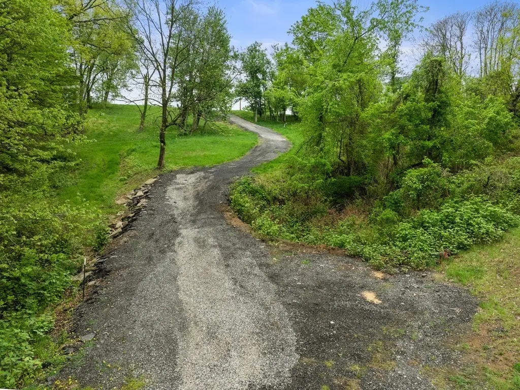 Picture 7