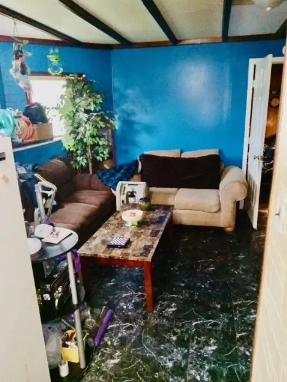 Picture 31