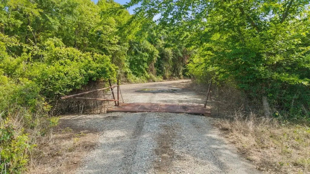 Picture 30
