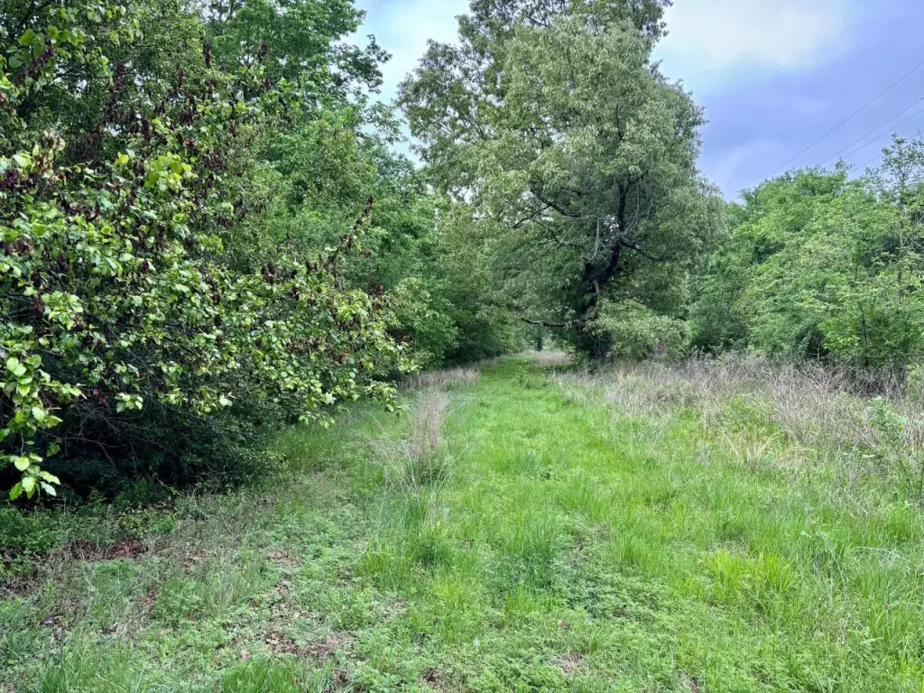 Picture 16