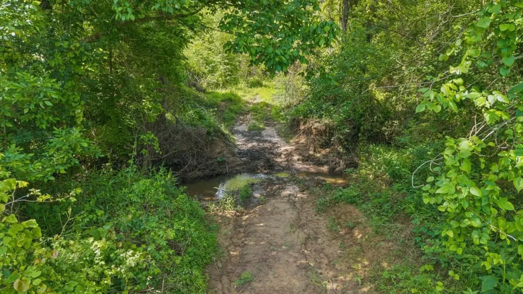 Picture 23