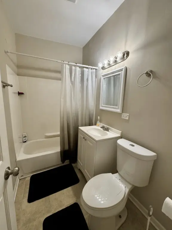 Picture 8