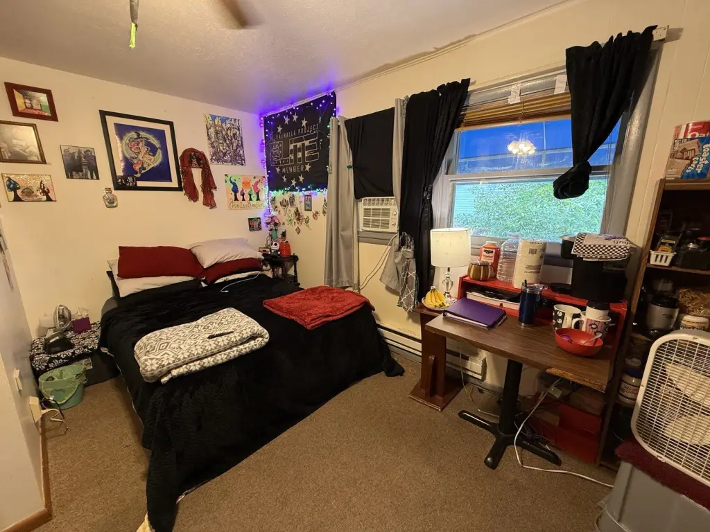 Picture 8