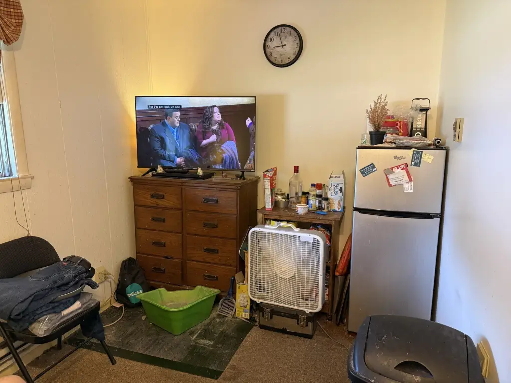 Picture 16
