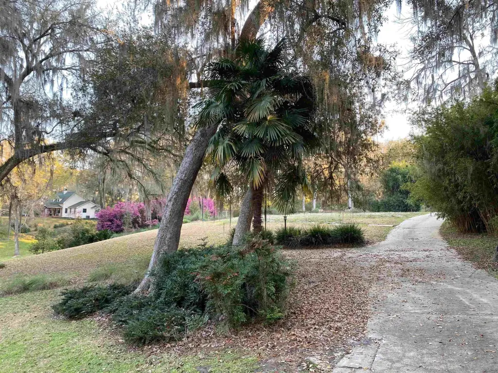 Picture 27