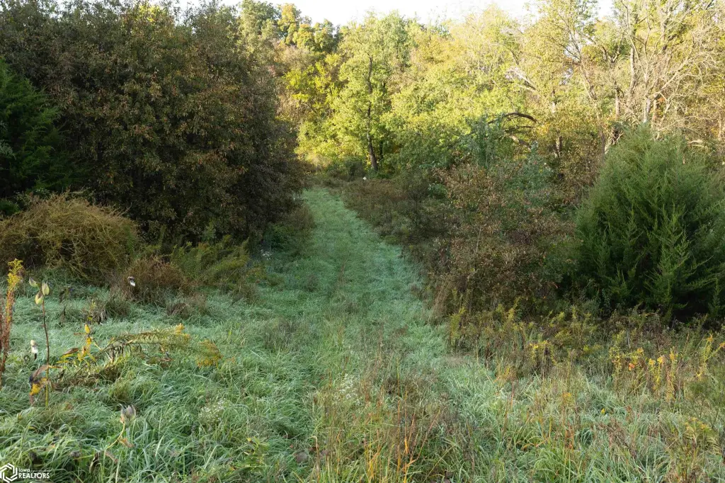 Picture 23