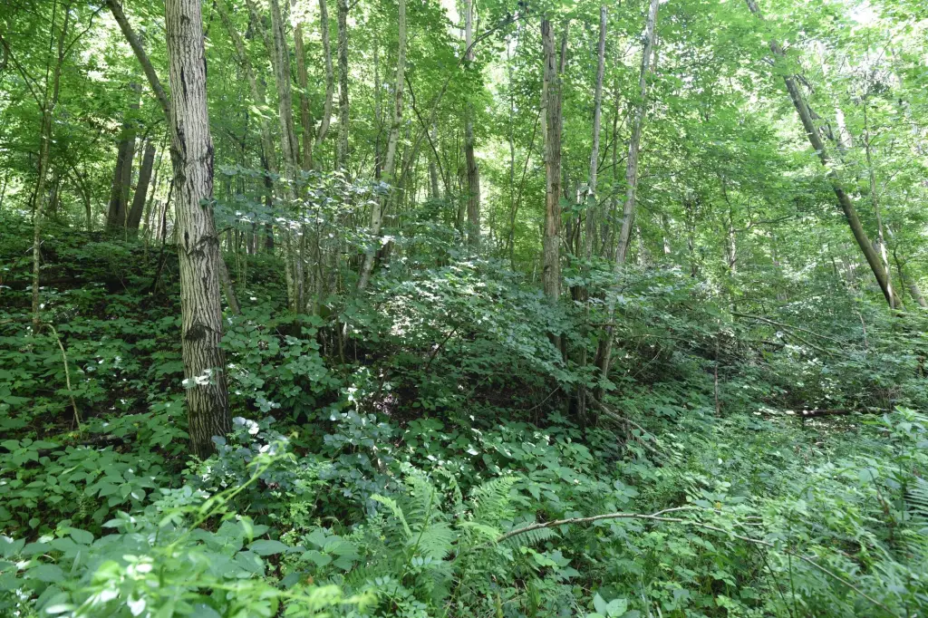 Picture 14
