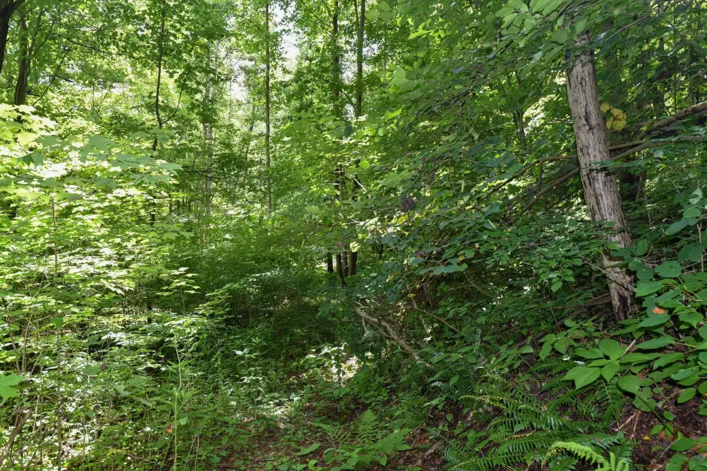 Picture 25
