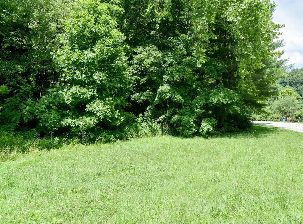 Picture 5