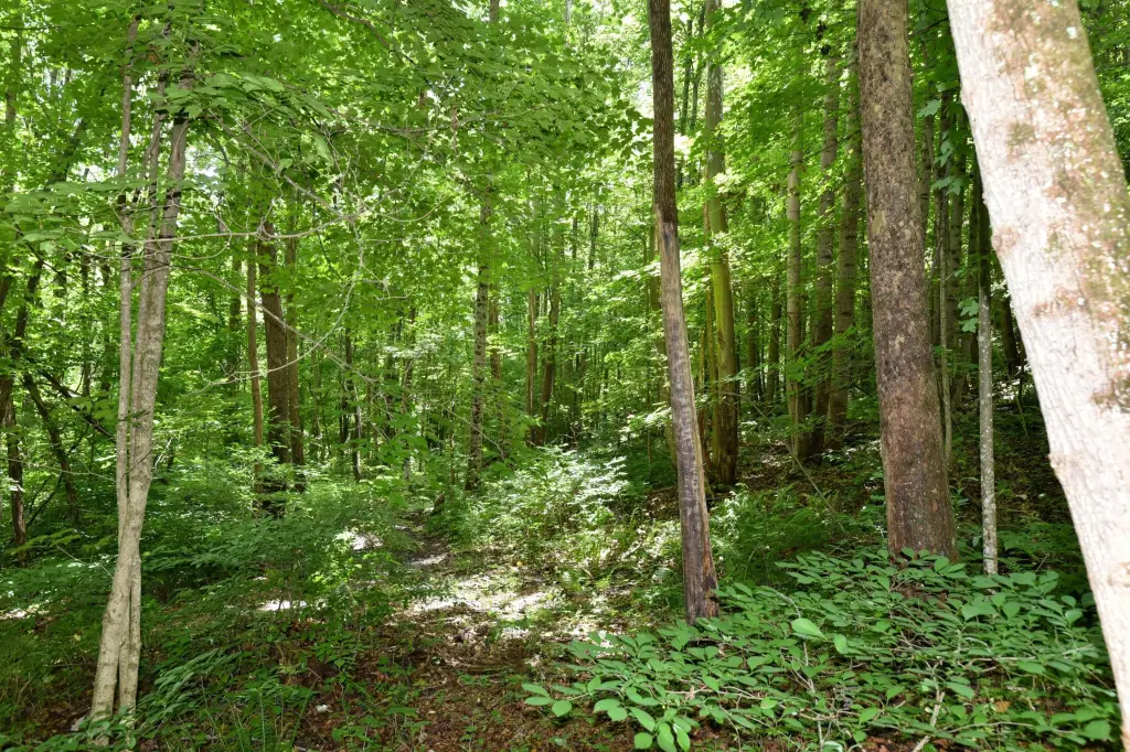 Picture 23
