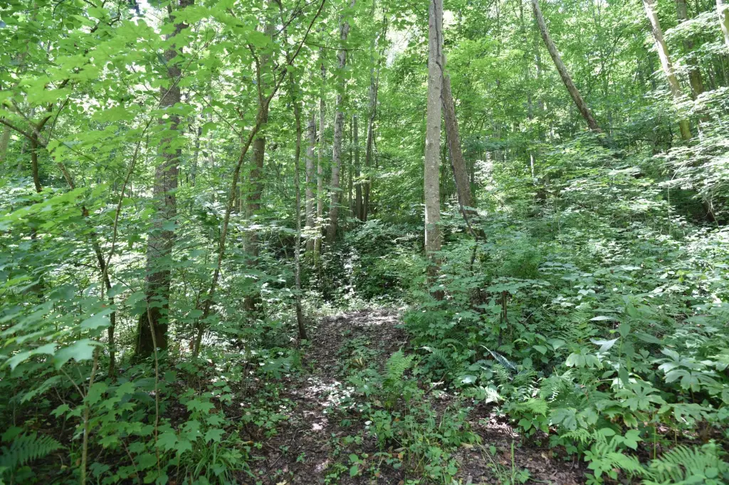 Picture 19