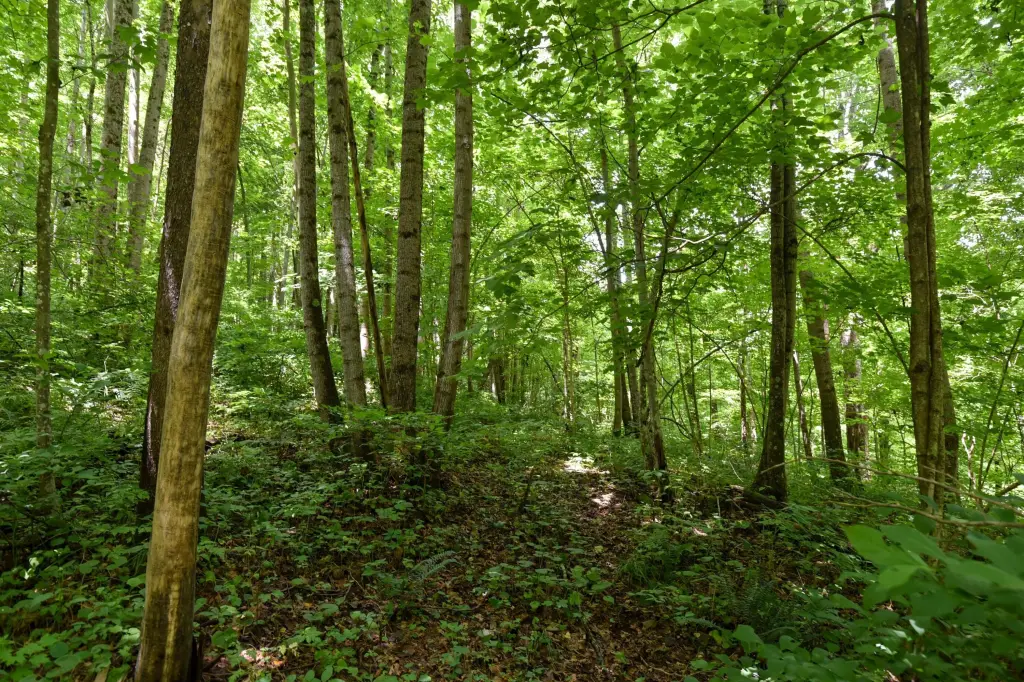 Picture 22