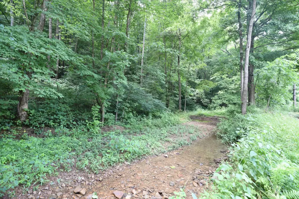 Picture 2