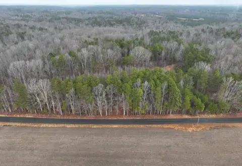 31.67 Acres in Halifax County