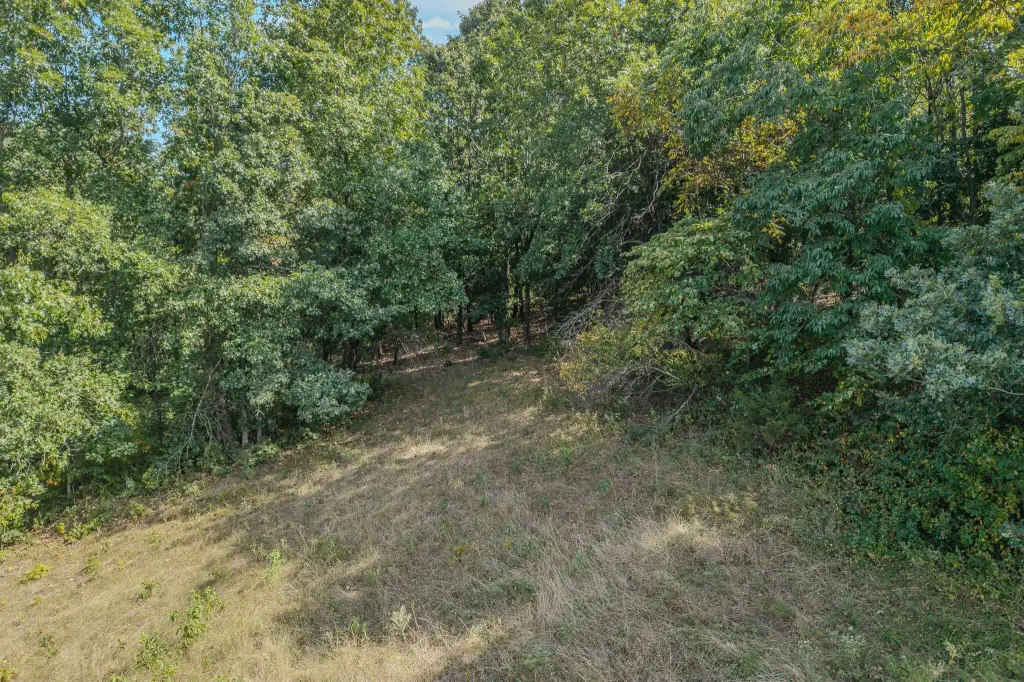 Picture 25