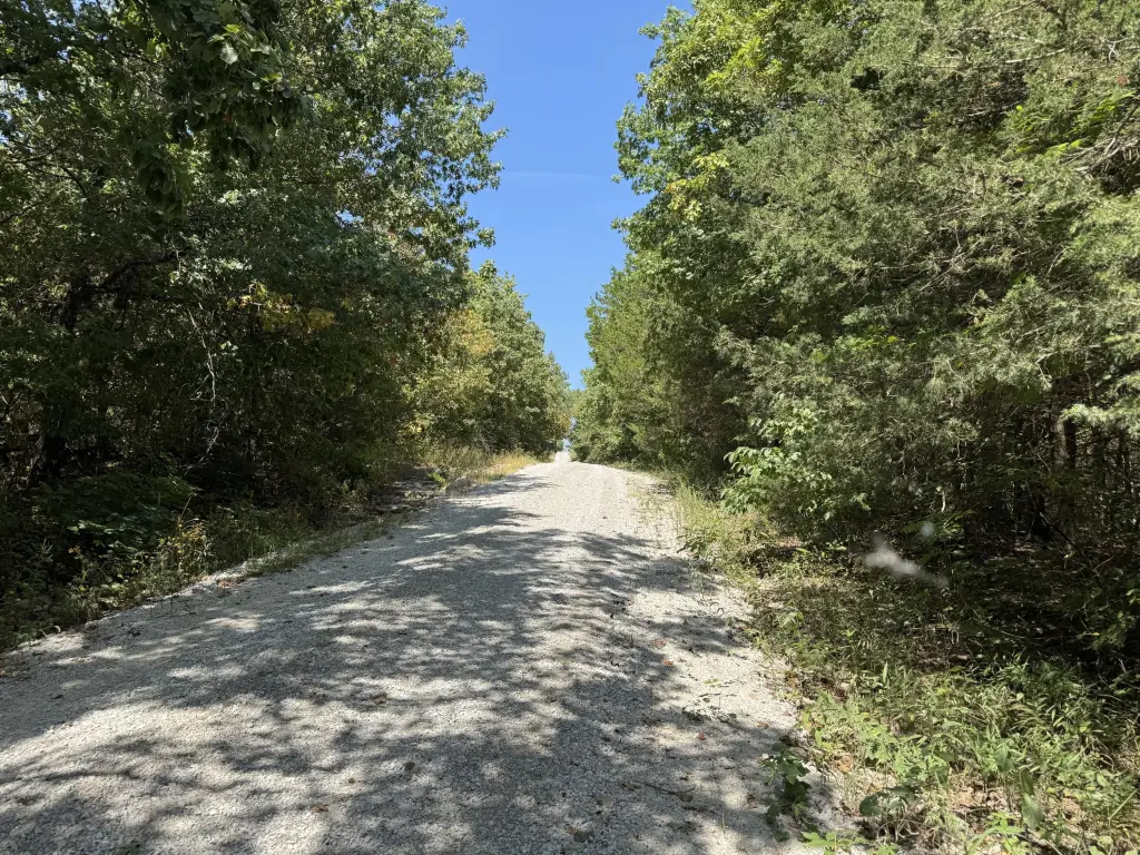 Picture 6