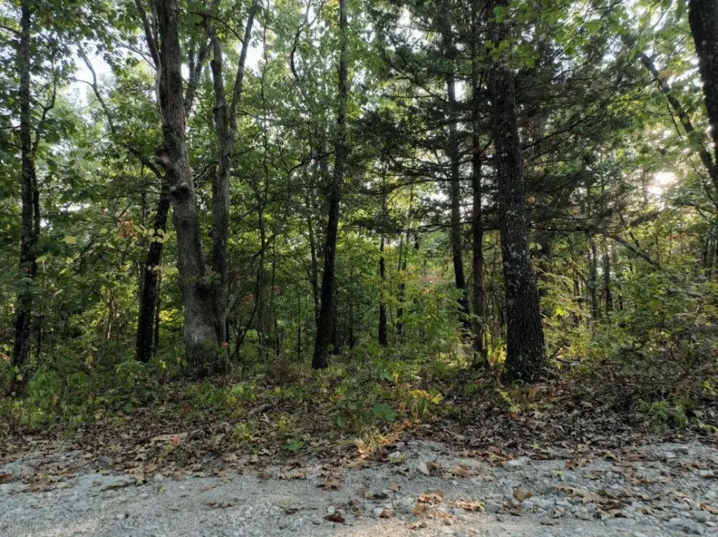 Picture 8