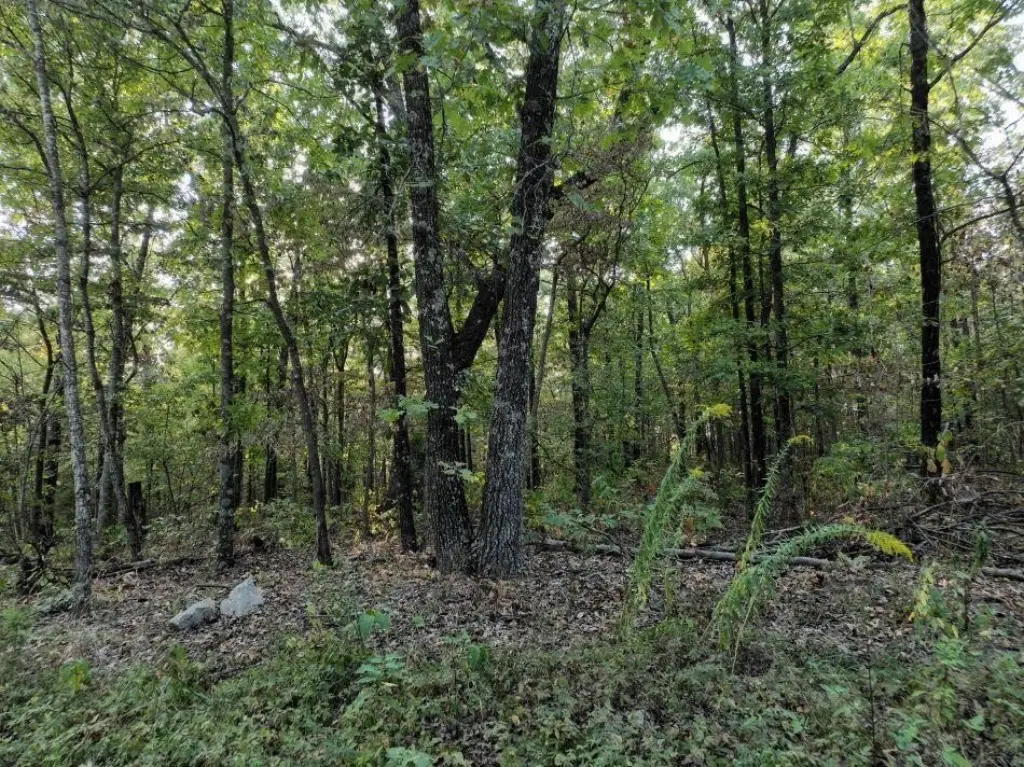 Picture 5