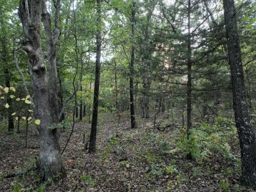 Picture 7