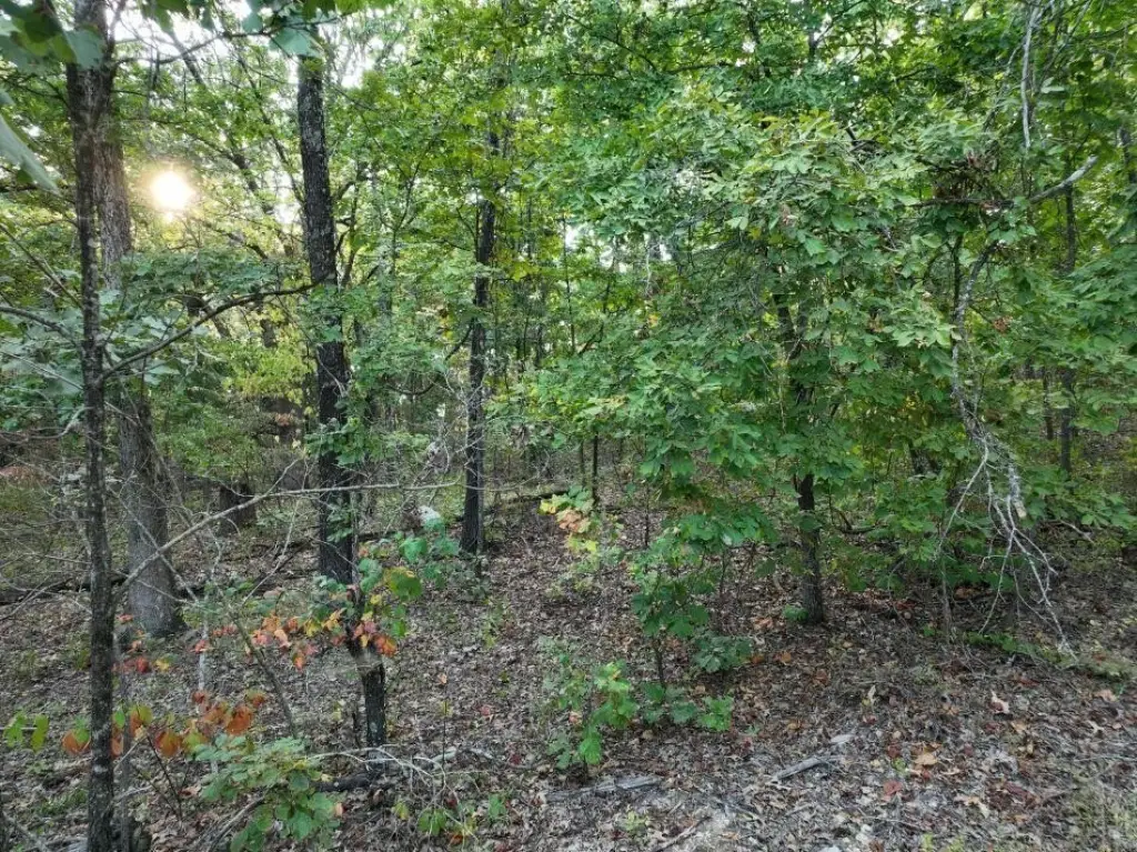Picture 6