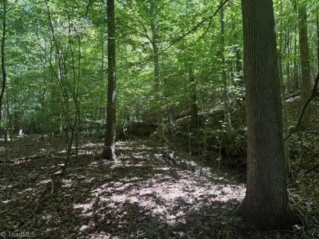 Picture 36