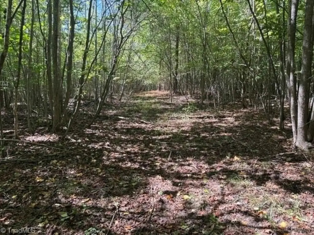 Picture 43