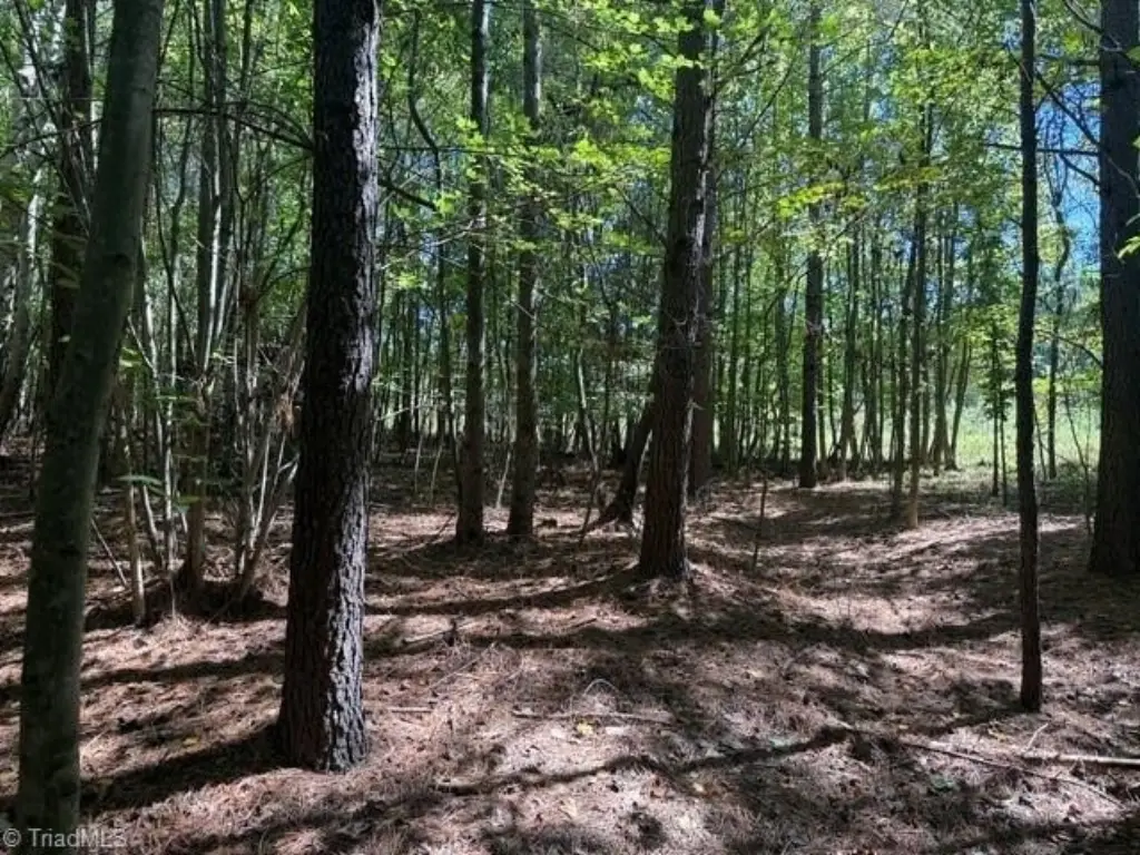 Picture 47
