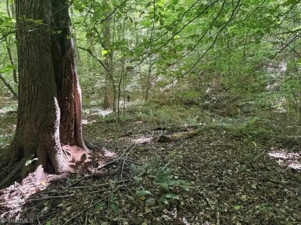Picture 39