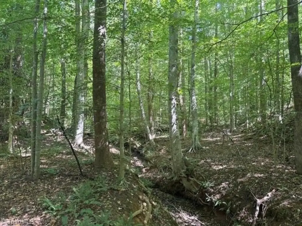 Picture 41