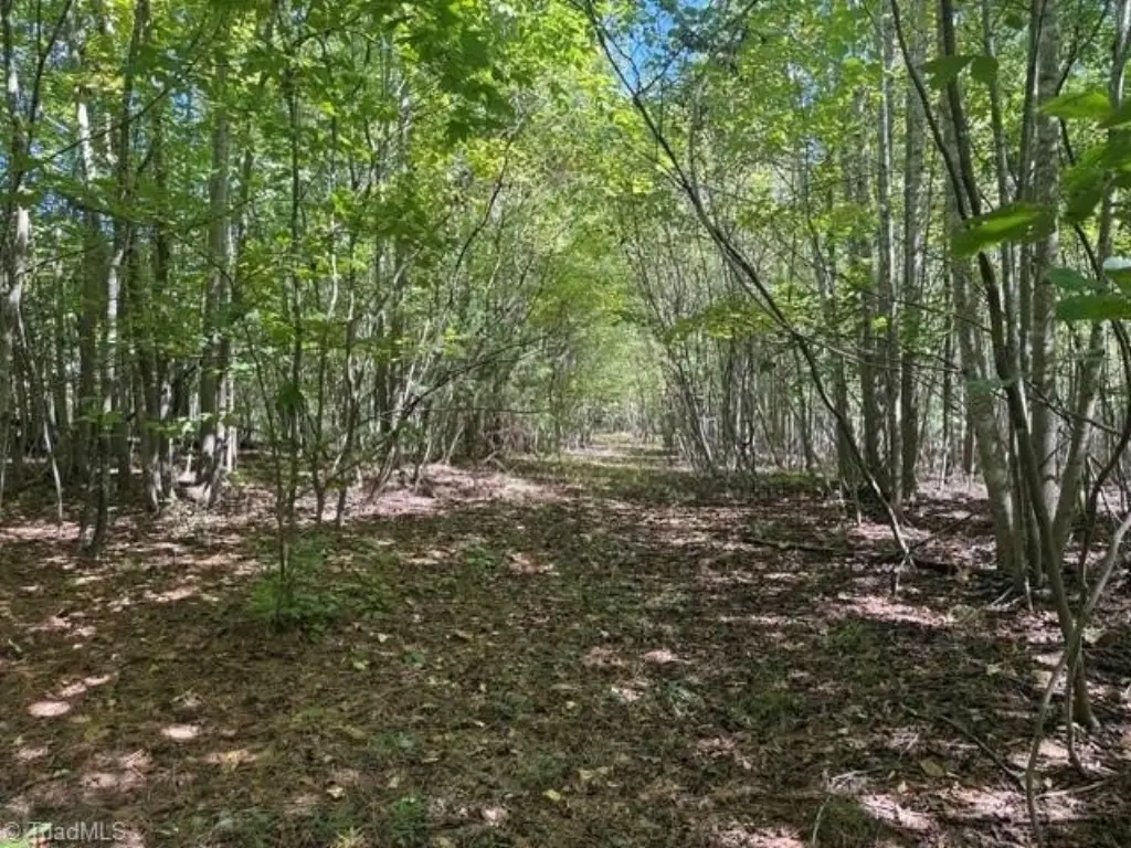 Picture 42