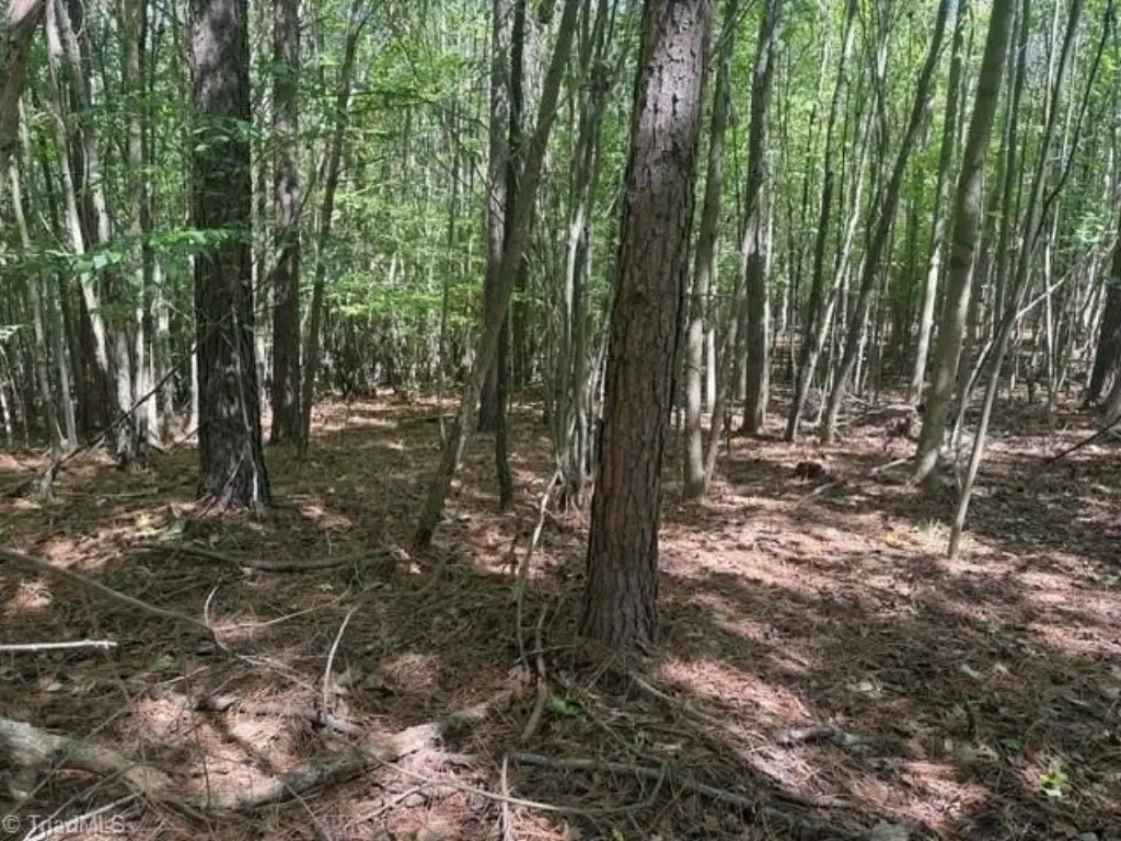 Picture 30