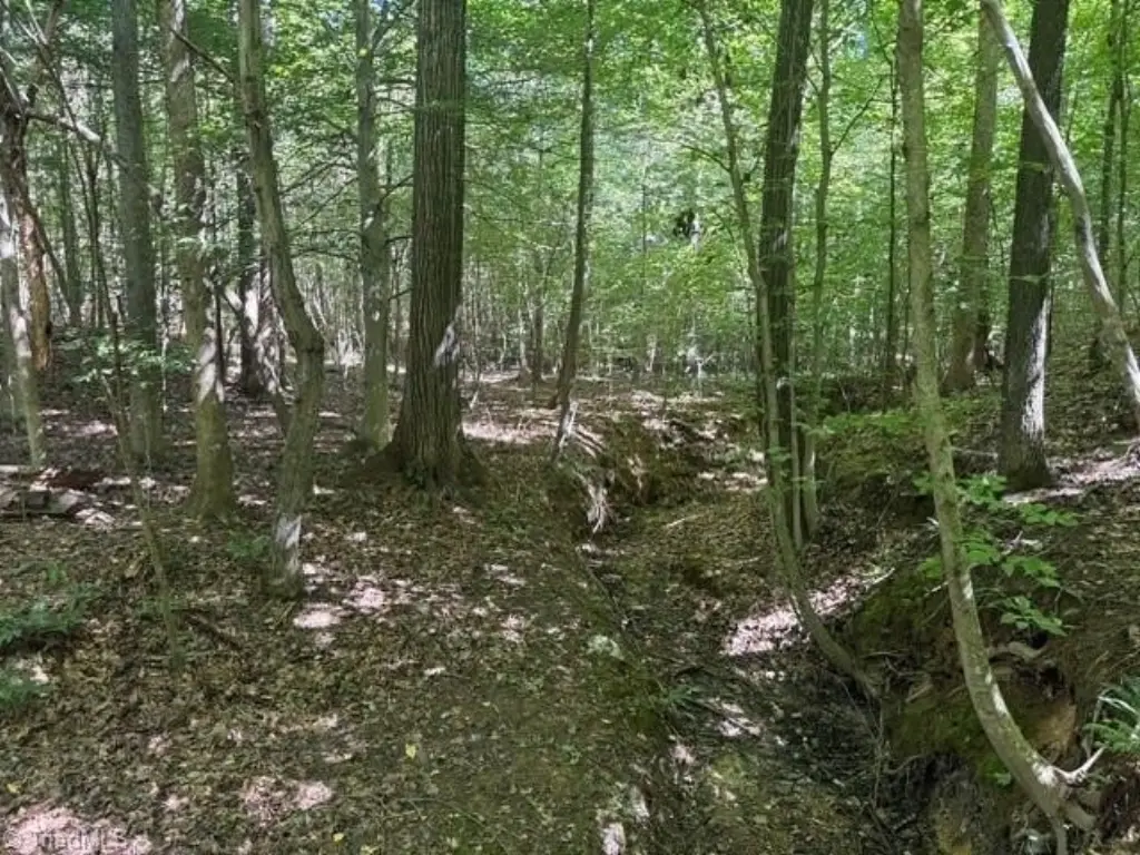 Picture 31