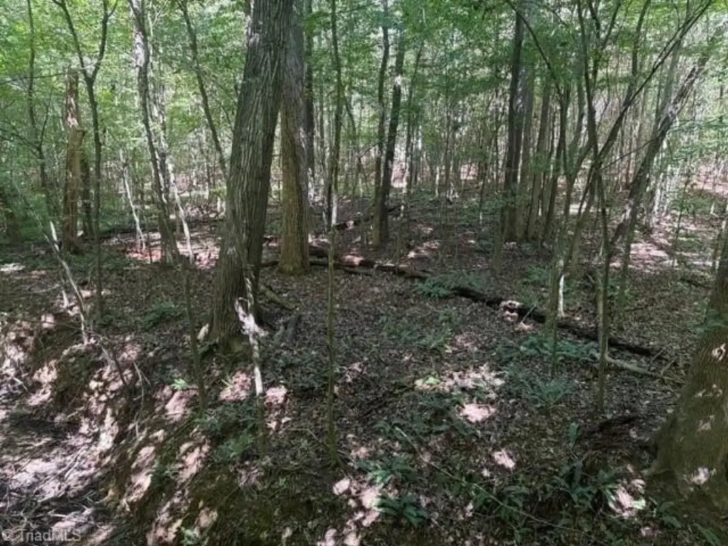 Picture 34