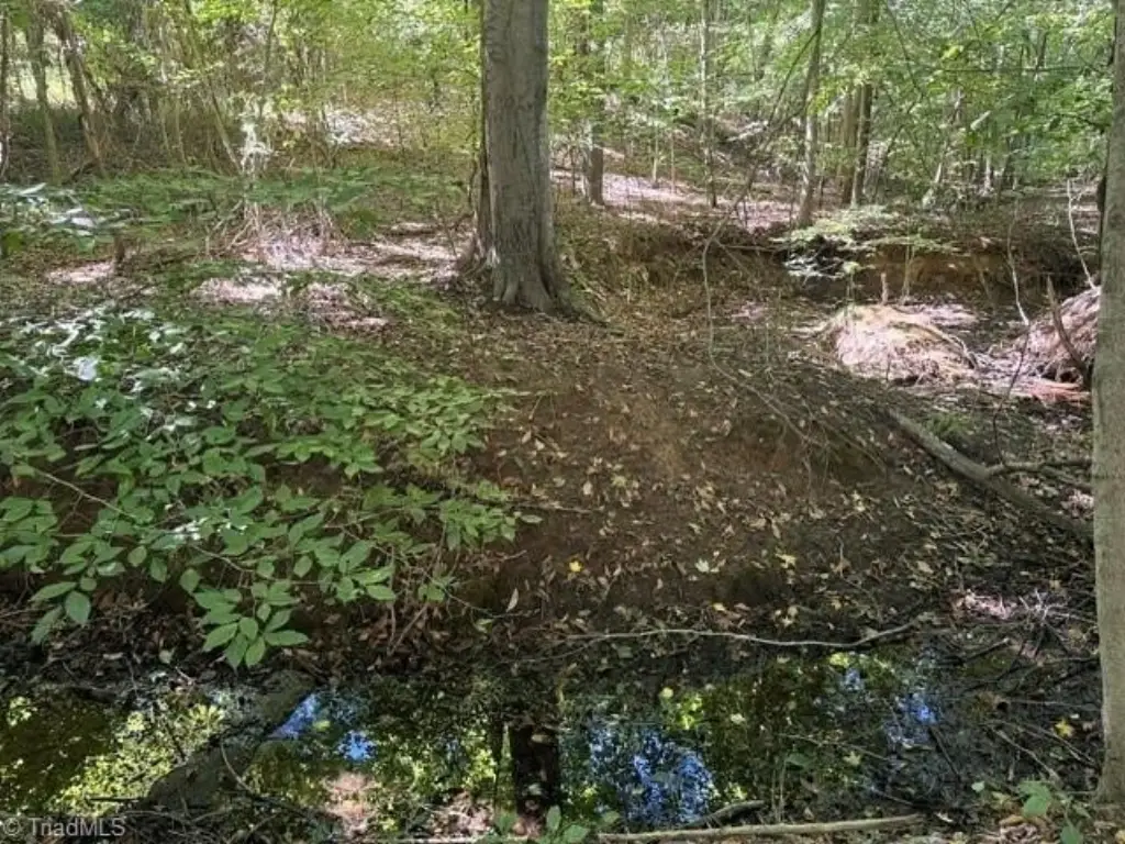 Picture 45