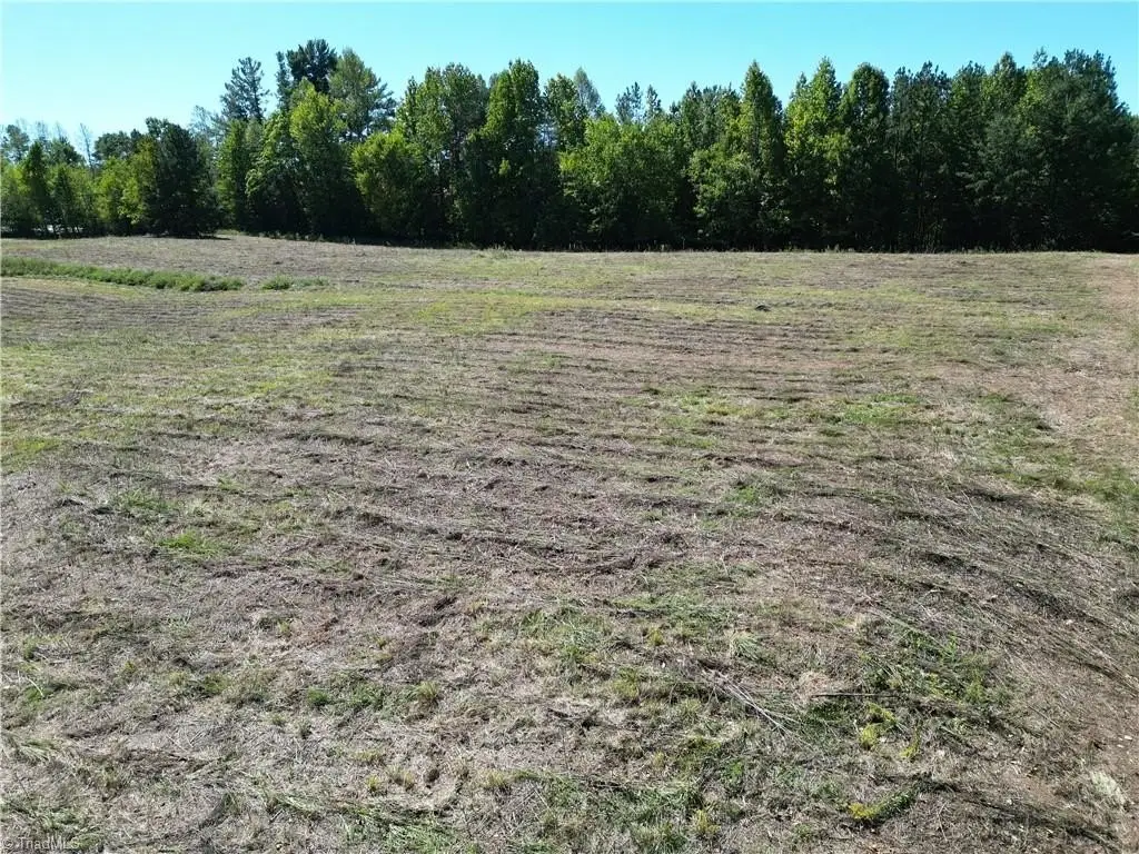 Picture 3