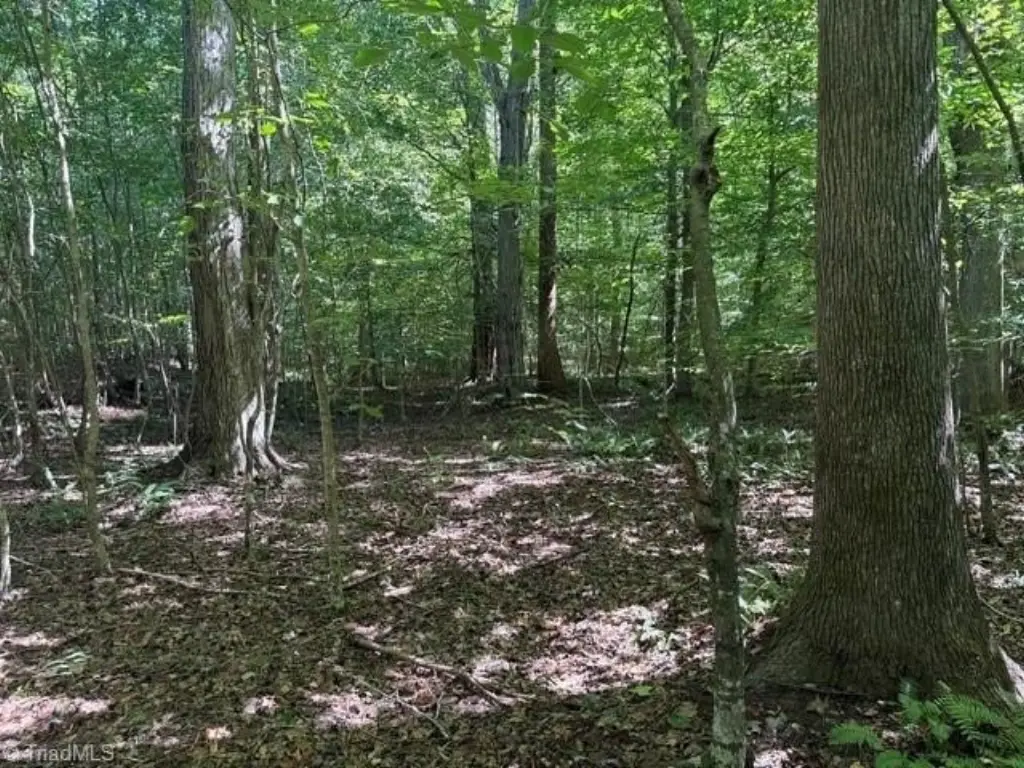 Picture 37